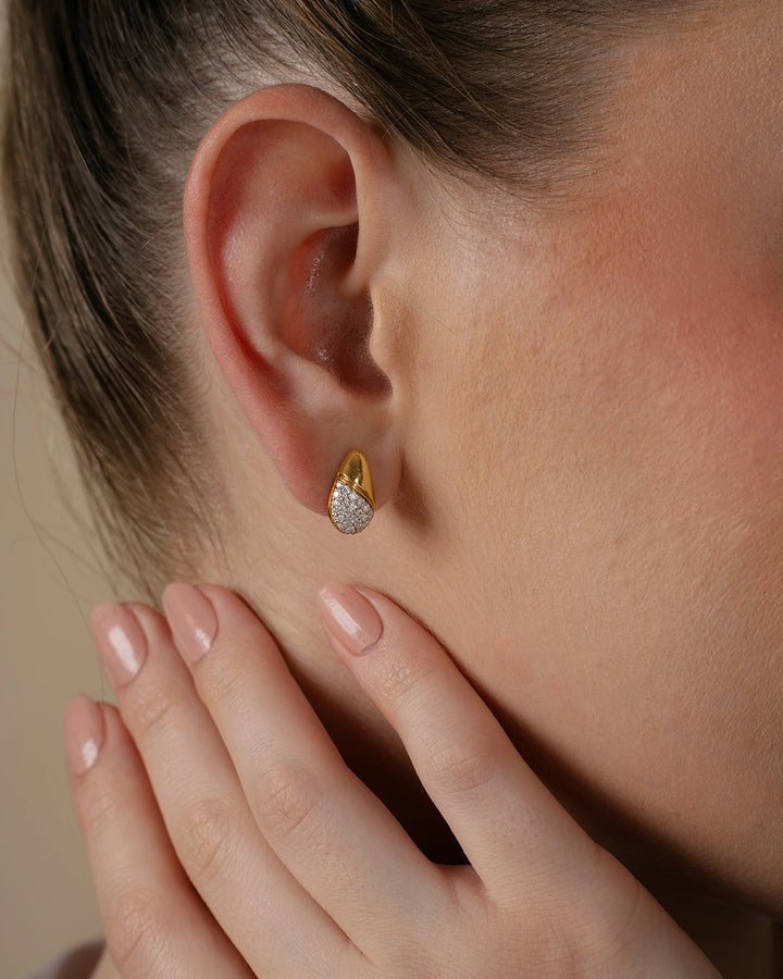 Elegant Curve Earrings