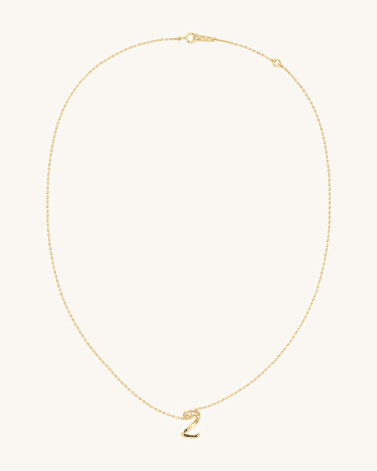 Z Zig Necklace