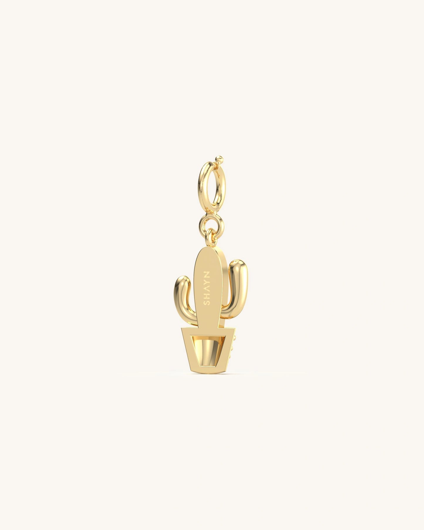 Cactus Diamond Charm