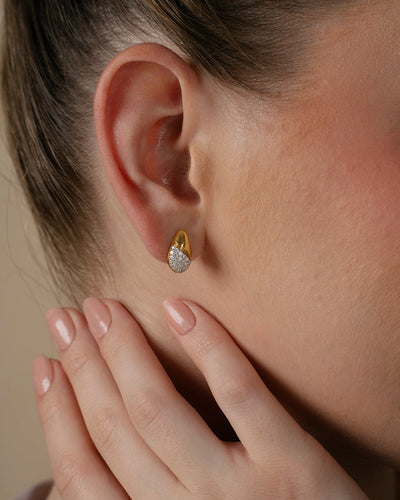 Elegant Curve Earrings