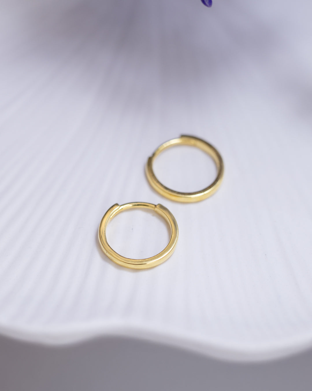 Round Prong Earrings & Classic Daily Hoops